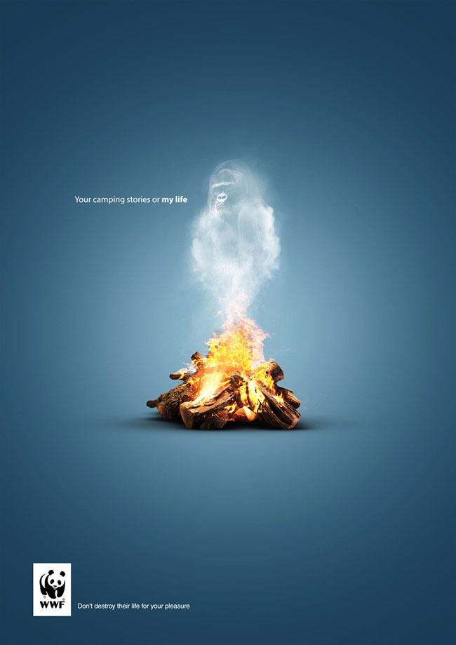 埃及WWF保護(hù)動(dòng)物公益廣告招貼設(shè)計(jì)