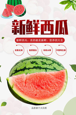 西瓜廣告海報(bào)